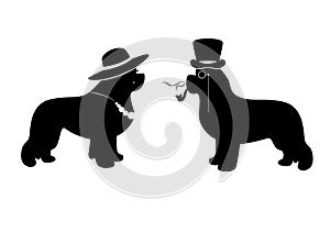 Vector Lady and Gentleman illustration with newfoundland dogs (for example as a WC signs)