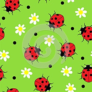 Vector ladybug and camomile flower seamless pattern