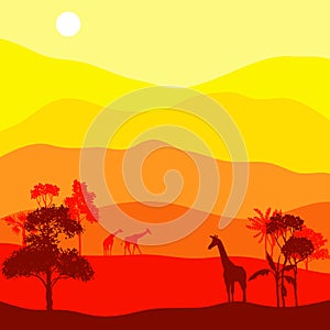 Vector landscape with giraffes