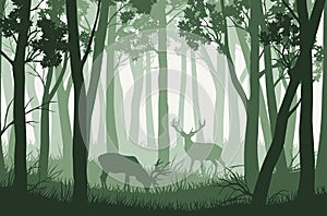 Vector landscape with green trees in forest and two deers