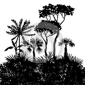 Vector landscape with palm trees