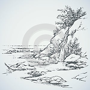 Vettore. un albero più vicino montagna attuale 