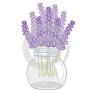 Vector Lavender Bouquet in Glass Jar. Vector Lavender