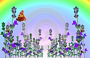 Vector lavender butterfly card