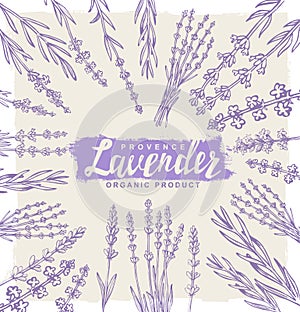 Vector lavender set