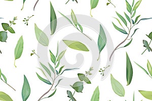 Vector, leafy seamless pattern. Leaf, leaves, green eucalyptus branch textile fabric, texture background. Watercolor twig, seeds,