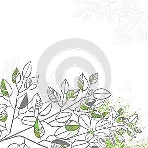 Vector leaves green sketch vector illuatration cartoon style background