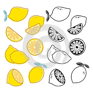 Vector lemon cuts, yellow and black and white citrus fruits vector set
