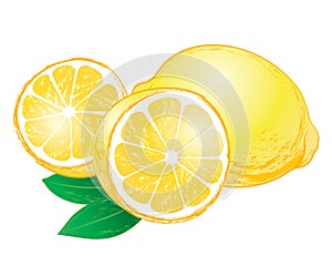 Vector Lemons with leaves