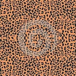 Vector leopard background