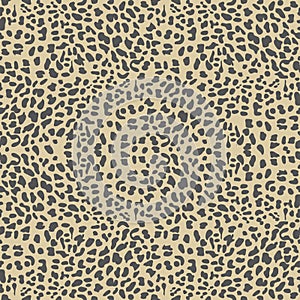 Vector leopard background