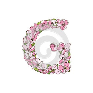 Vector letter G of apple tree flowers.