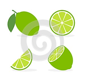 Vector lime slice green illustration lemon isolated half fruit lime. Fresh green cut citrus icon