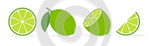 Vector lime slice green illustration lemon isolated half fruit lime. Fresh green cut citrus icon