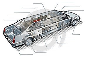 Vector limousine inforgaphics cutaway