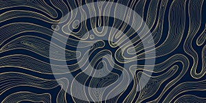 Vector line abstract wave pattern, organic texture map, topography modern graphic. Geometric art shapes, curve digital photo