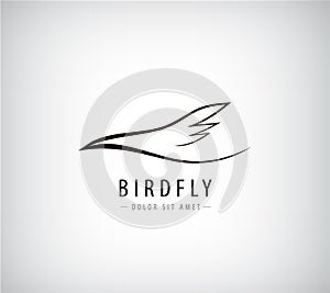 Vector line bird logo, Abstract