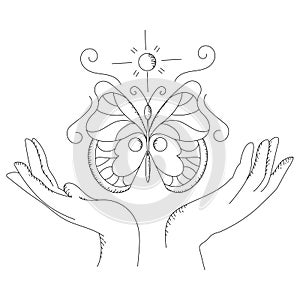 Vector line butterfly illustration for coloring.