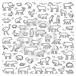 Vector line concept for american, african and australian animals