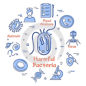 Vector line concept of viruses - harmful bacteria icon