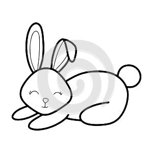 Vector line cute baby bunny isolated illustration.