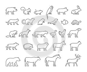 Vector line set of domestic and wild animals.