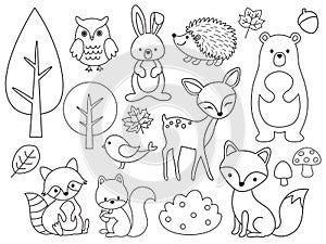 Vector line set of Woodland Animals Outline for Coloring