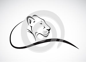 Vector of a lion female design on white background.