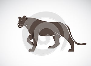 Vector of a lion female on white background.