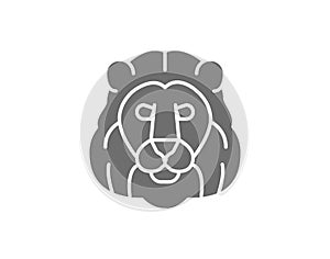Vector lion, wild cat head grey icon.