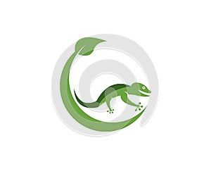 Vector lizard logo template