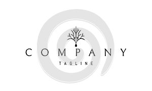 Vector logo with an abstract image of a tree with a drop at the base.