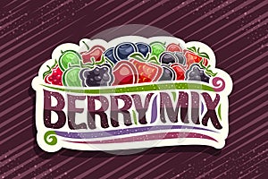 Vector logo for Berry Mix