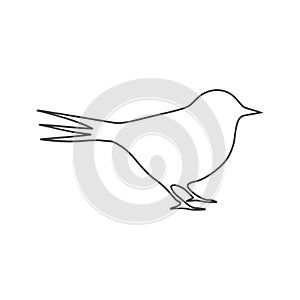 Vector Logo birds in flight
