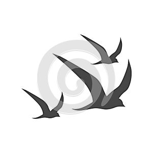 Vector Logo birds in flight