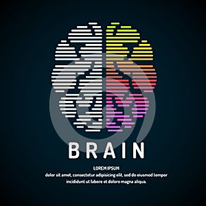 Vector logo brain color silhouette