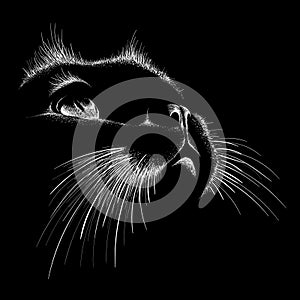 The Vector logo cat for tattoo or T-shirt design or outwear.  Cute print style cat background.