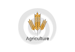 vector logo design for agriculture, agronomy, wheat farm,