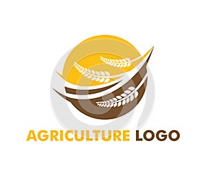 Vector logo design for agriculture, agronomy, wheat farm, rural country farming field, natural harvest