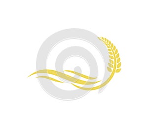 Vector logo design for agriculture, agronomy, wheat farm, rural country farming field, natural harvest