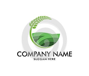 Vector logo design for agriculture, agronomy, wheat farm, rural country farming field, natural harvest