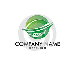 Vector logo design for agriculture, agronomy, wheat farm, rural country farming field, natural harvest