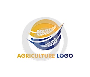 Vector logo design for agriculture, agronomy, wheat farm, rural country farming field, natural harvest