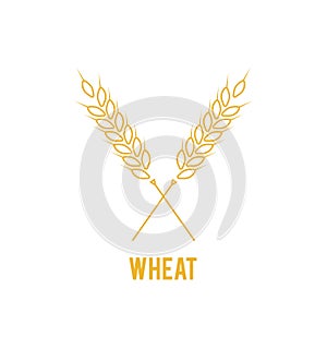 Vector logo design and elements of wheat grain. Line style logotype template with wheat. Easy to use business template