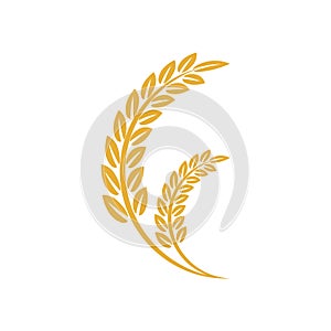 Vector logo design and elements of wheat grain, wheat ears, seed or rye, prosperity