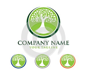 Vector logo design illustration of oak tree logo, wise and strong, house property firm, green home stay resort