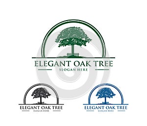 Vector logo design illustration of oak tree logo, wise and strong, house property firm, green home stay resort