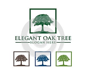 Vector logo design illustration of oak tree logo, wise and strong, house property firm, green home stay resort