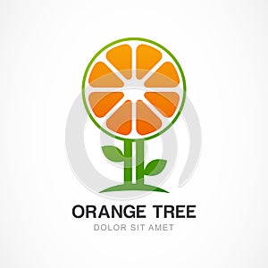 Vector logo design template. Orange tree illustration. Garden, o
