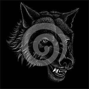 The Vector logo dog  or wolf for tattoo or T-shirt design or outwear.  Cute print style dog  or wolf  background. This hand